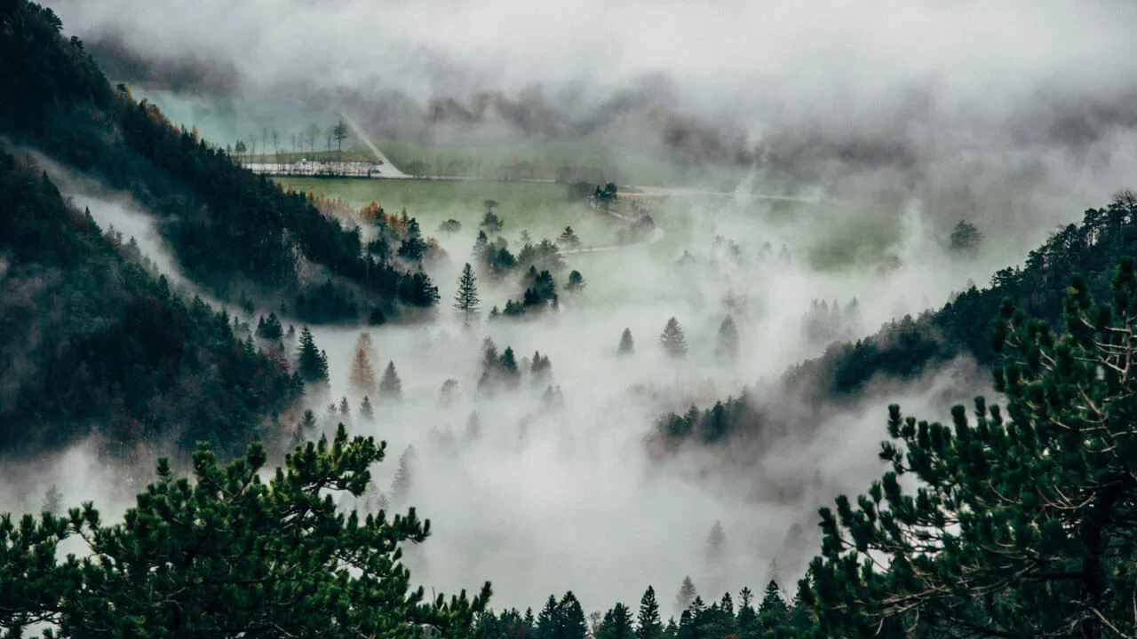 How Communities Are Taking Action to Protect the Environment